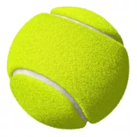 pelota de tenis