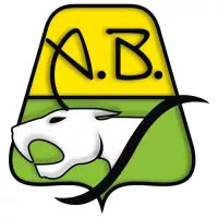 Logo Bucaramanga